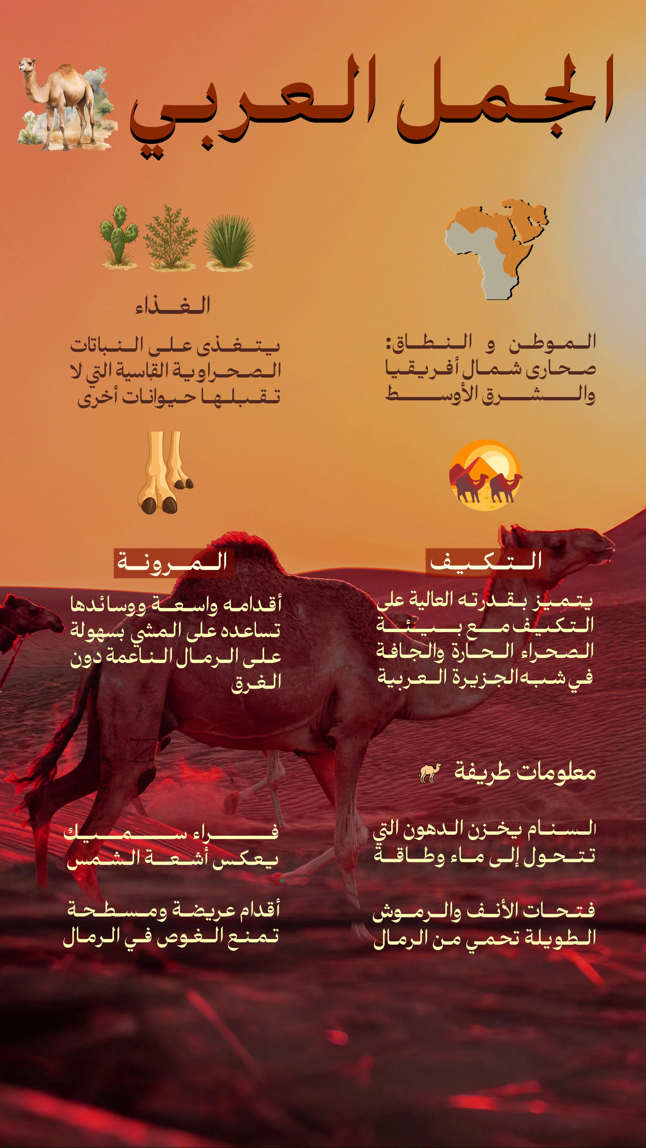 إنفوجرافيك عن الجمل العربي